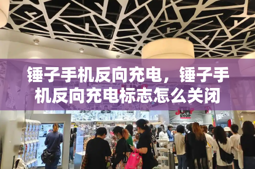 锤子手机反向充电，锤子手机反向充电标志怎么关闭-第1张图片-星选测评