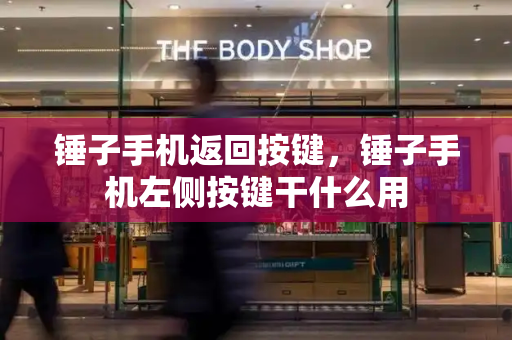 锤子手机返回按键，锤子手机左侧按键干什么用-第1张图片-星选测评