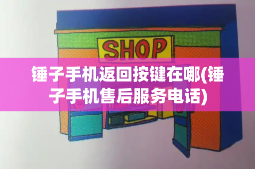 锤子手机返回按键在哪(锤子手机售后服务电话)-第1张图片-星选测评