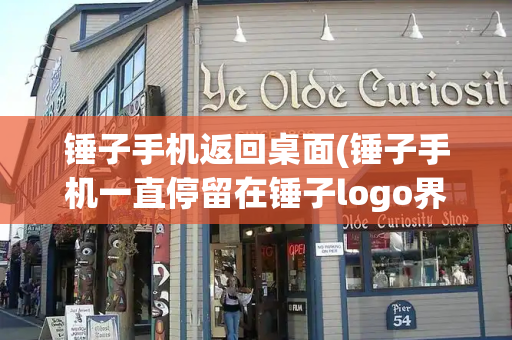 锤子手机返回桌面(锤子手机一直停留在锤子logo界面)
