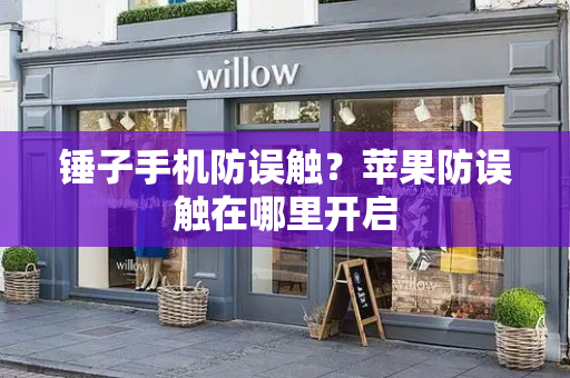 锤子手机防误触？苹果防误触在哪里开启-第1张图片-星选测评
