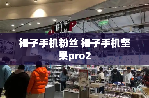 锤子手机粉丝 锤子手机坚果pro2
