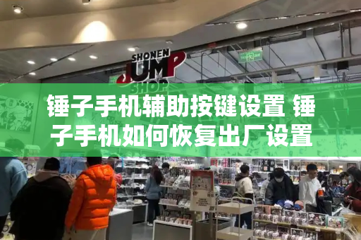 锤子手机辅助按键设置 锤子手机如何恢复出厂设置