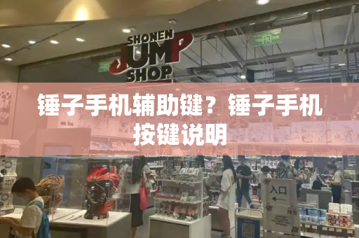 锤子手机辅助键？锤子手机按键说明-第1张图片-星选测评