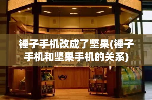 锤子手机改成了坚果(锤子手机和坚果手机的关系)-第1张图片-星选测评