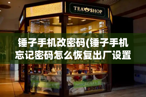 锤子手机改密码(锤子手机忘记密码怎么恢复出厂设置)-第1张图片-星选测评