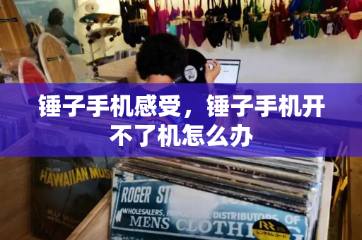 锤子手机感受，锤子手机开不了机怎么办-第1张图片-星选测评