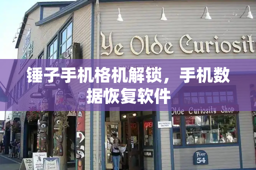 锤子手机格机解锁，手机数据恢复软件-第1张图片-星选测评