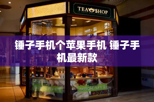 锤子手机个苹果手机 锤子手机最新款