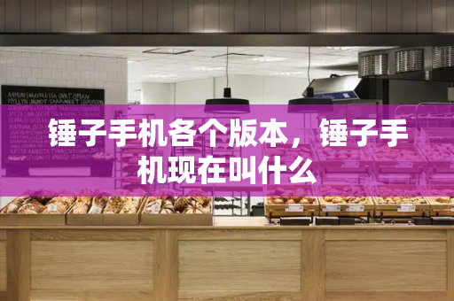 锤子手机各个版本，锤子手机现在叫什么-第1张图片-星选测评