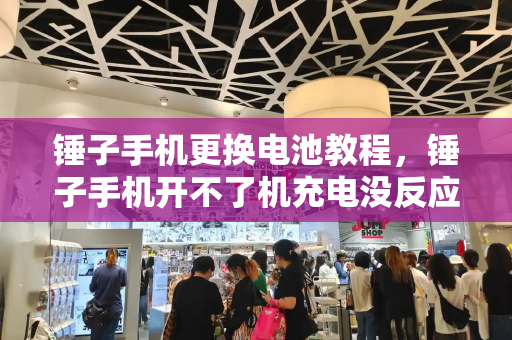 锤子手机更换电池教程，锤子手机开不了机充电没反应