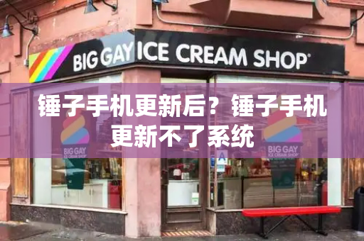 锤子手机更新后？锤子手机更新不了系统-第1张图片-星选测评