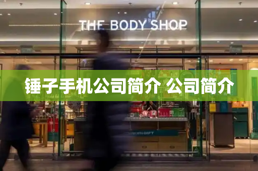 锤子手机公司简介 公司简介-第1张图片-星选测评