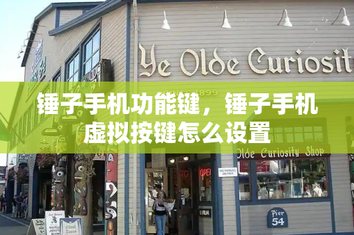 锤子手机功能键，锤子手机虚拟按键怎么设置