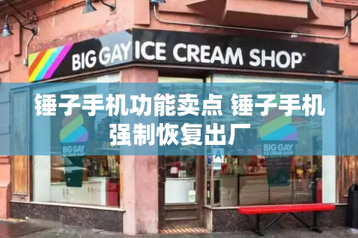锤子手机功能卖点 锤子手机强制恢复出厂-第1张图片-星选测评