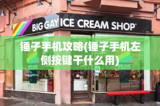 锤子手机攻略(锤子手机左侧按键干什么用)