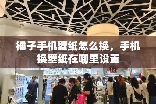 锤子手机壁纸怎么换，手机换壁纸在哪里设置