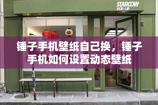 锤子手机壁纸自己换，锤子手机如何设置动态壁纸-第1张图片-星选测评