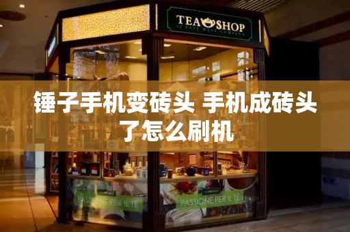 锤子手机变砖头 手机成砖头了怎么刷机