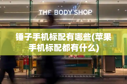 锤子手机标配有哪些(苹果手机标配都有什么)-第1张图片-星选测评