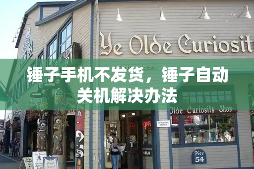 锤子手机不发货，锤子自动关机解决办法