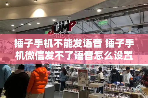 锤子手机不能发语音 锤子手机微信发不了语音怎么设置
