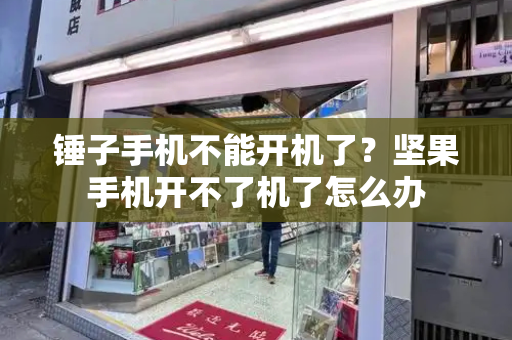 锤子手机不能开机了？坚果手机开不了机了怎么办-第1张图片-星选测评