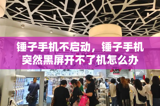 锤子手机不启动，锤子手机突然黑屏开不了机怎么办-第1张图片-星选测评