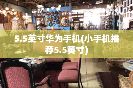 5.5英寸华为手机(小手机推荐5.5英寸)-第1张图片-星选测评