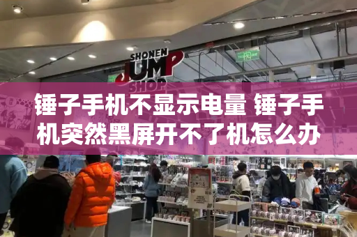 锤子手机不显示电量 锤子手机突然黑屏开不了机怎么办