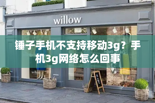 锤子手机不支持移动3g？手机3g网络怎么回事-第1张图片-星选测评
