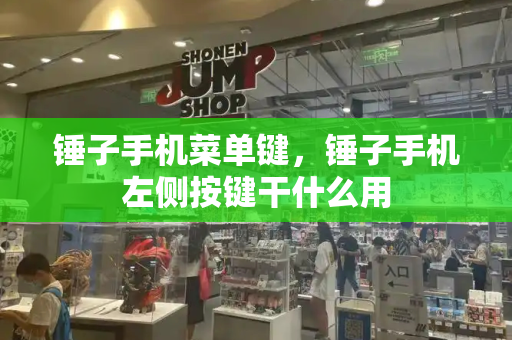 锤子手机菜单键，锤子手机左侧按键干什么用-第1张图片-星选测评