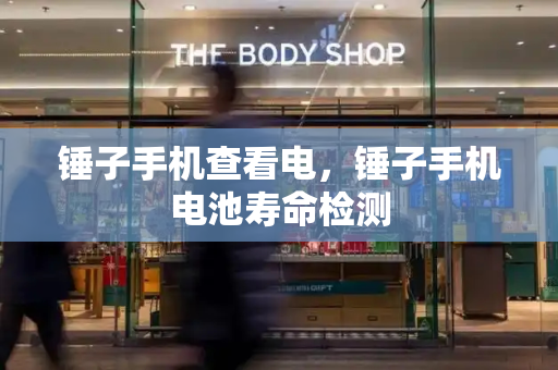 锤子手机查看电，锤子手机电池寿命检测