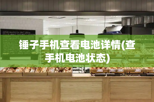 锤子手机查看电池详情(查手机电池状态)