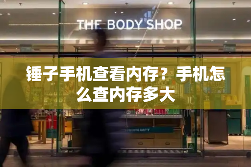 锤子手机查看内存？手机怎么查内存多大-第1张图片-星选测评