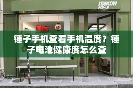 锤子手机查看手机温度？锤子电池健康度怎么查-第1张图片-星选测评
