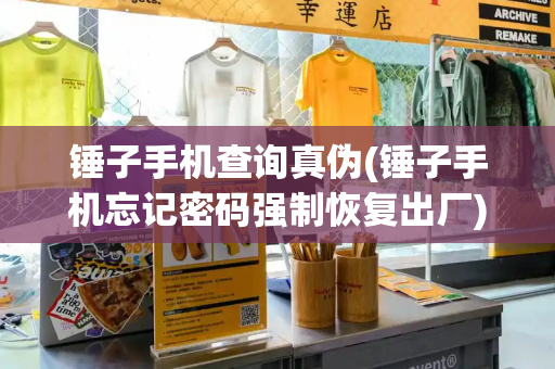 锤子手机查询真伪(锤子手机忘记密码强制恢复出厂)-第1张图片-星选测评