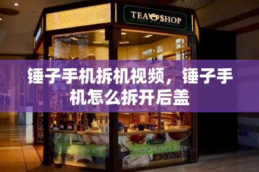 锤子手机拆机视频，锤子手机怎么拆开后盖