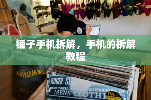 锤子手机拆解，手机的拆解教程-第1张图片-星选测评
