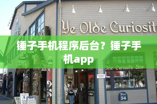 锤子手机程序后台？锤子手机app