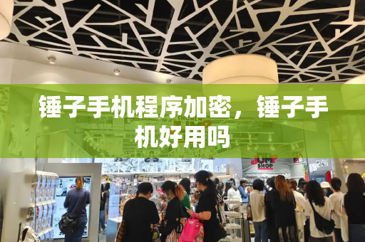 锤子手机程序加密，锤子手机好用吗