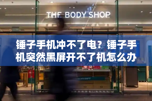 锤子手机冲不了电？锤子手机突然黑屏开不了机怎么办-第1张图片-星选测评
