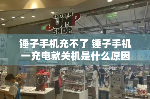 锤子手机充不了 锤子手机一充电就关机是什么原因-第1张图片-星选测评