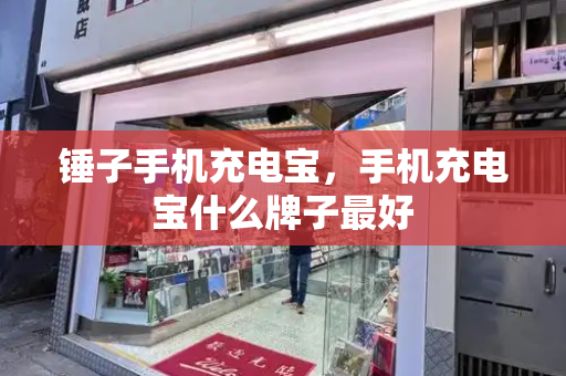 锤子手机充电宝，手机充电宝什么牌子最好-第1张图片-星选测评
