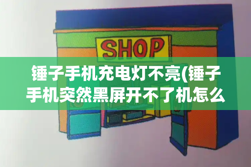 锤子手机充电灯不亮(锤子手机突然黑屏开不了机怎么办)-第1张图片-星选测评
