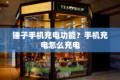 锤子手机充电功能？手机充电怎么充电