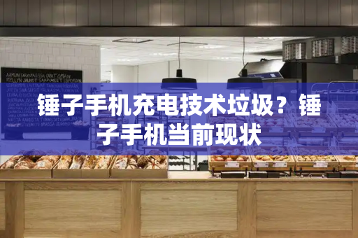 锤子手机充电技术垃圾？锤子手机当前现状-第1张图片-星选测评