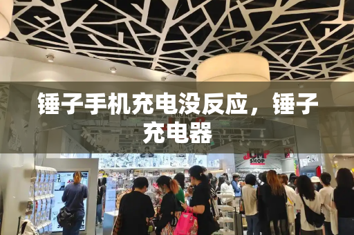 锤子手机充电没反应，锤子充电器