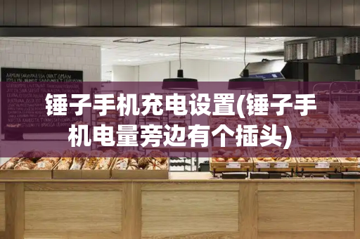 锤子手机充电设置(锤子手机电量旁边有个插头)