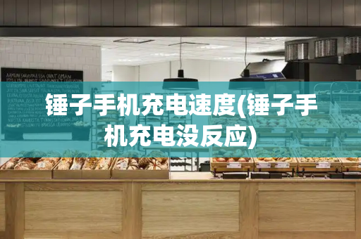 锤子手机充电速度(锤子手机充电没反应)